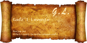 Gaál Levente névjegykártya